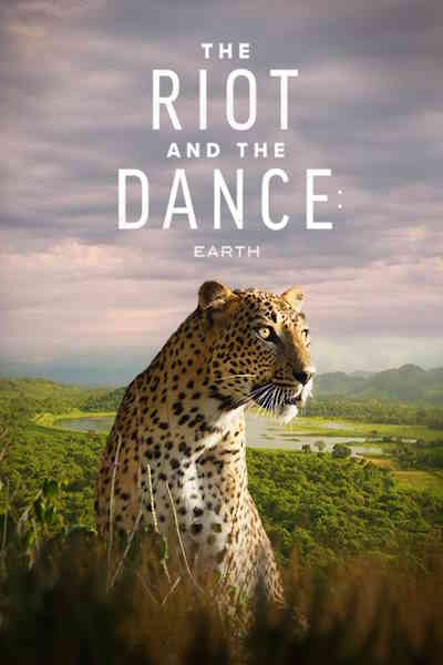 The Riot and the Dance - Season 1
