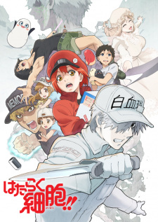 Hataraku Saibou! [Audio: Eng]