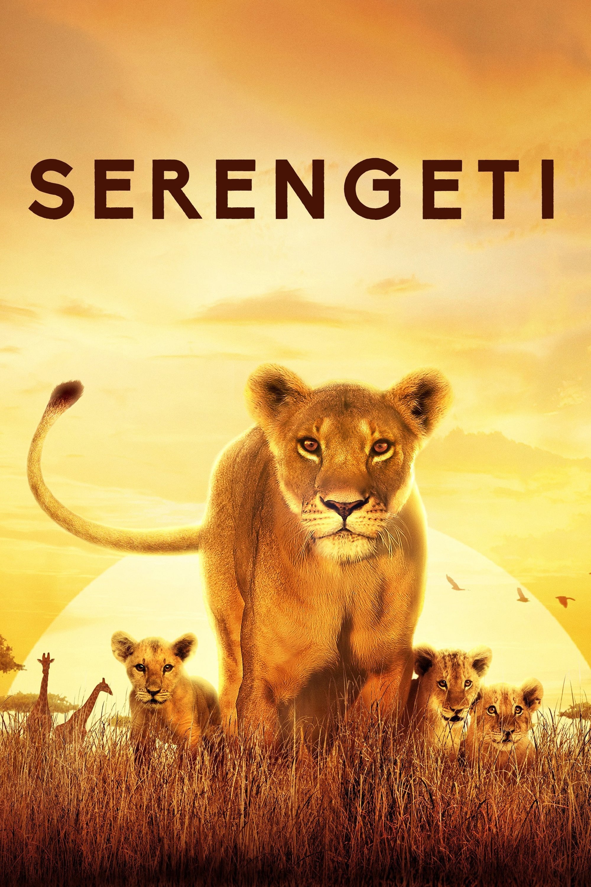 Serengeti - Season 3