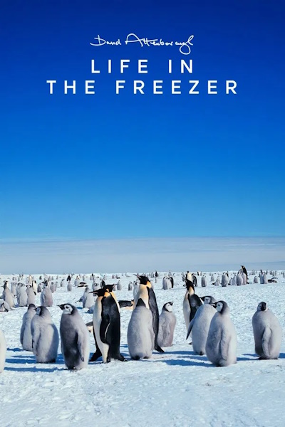 Life in the Freezer - Season 1