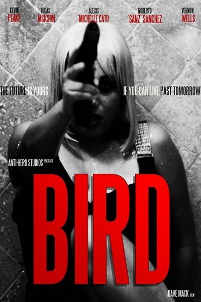 Bird (2020)