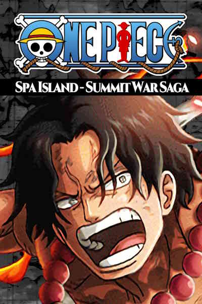 One Piece - Season 13