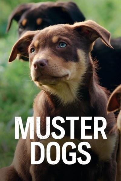 Muster Dogs - Season 1