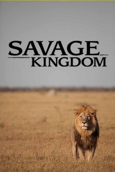 Savage Kingdom - Season 3