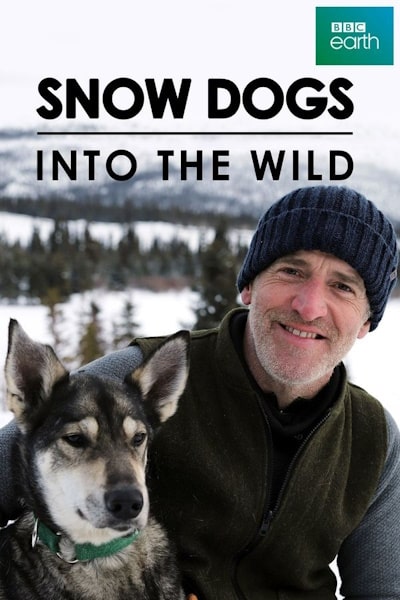 Snow Dogs Into the Wild