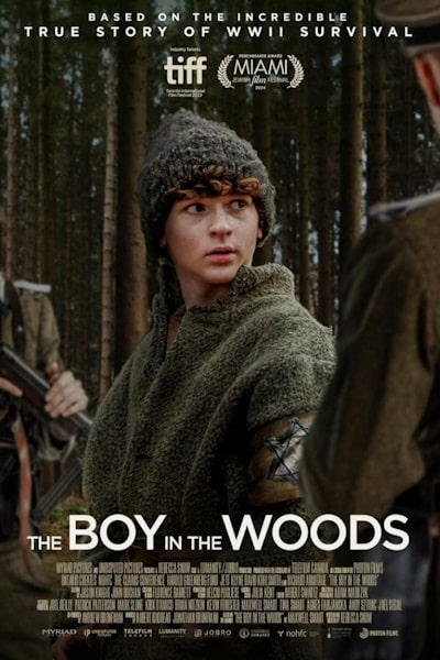 The Boy in the Woods