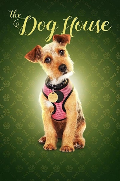 The Dog House - Season 5
