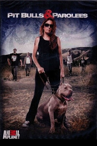 Pit Bulls and Parolees - Season 2