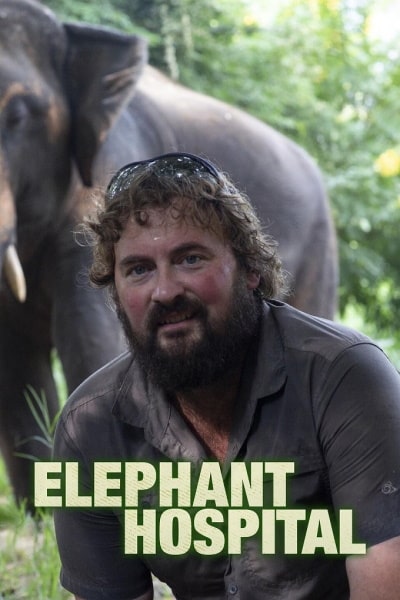 Elephant Hospital - Season 1