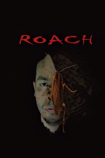 Roach