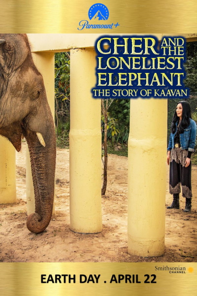 Cher and the Loneliest Elephant [Sub: Eng]