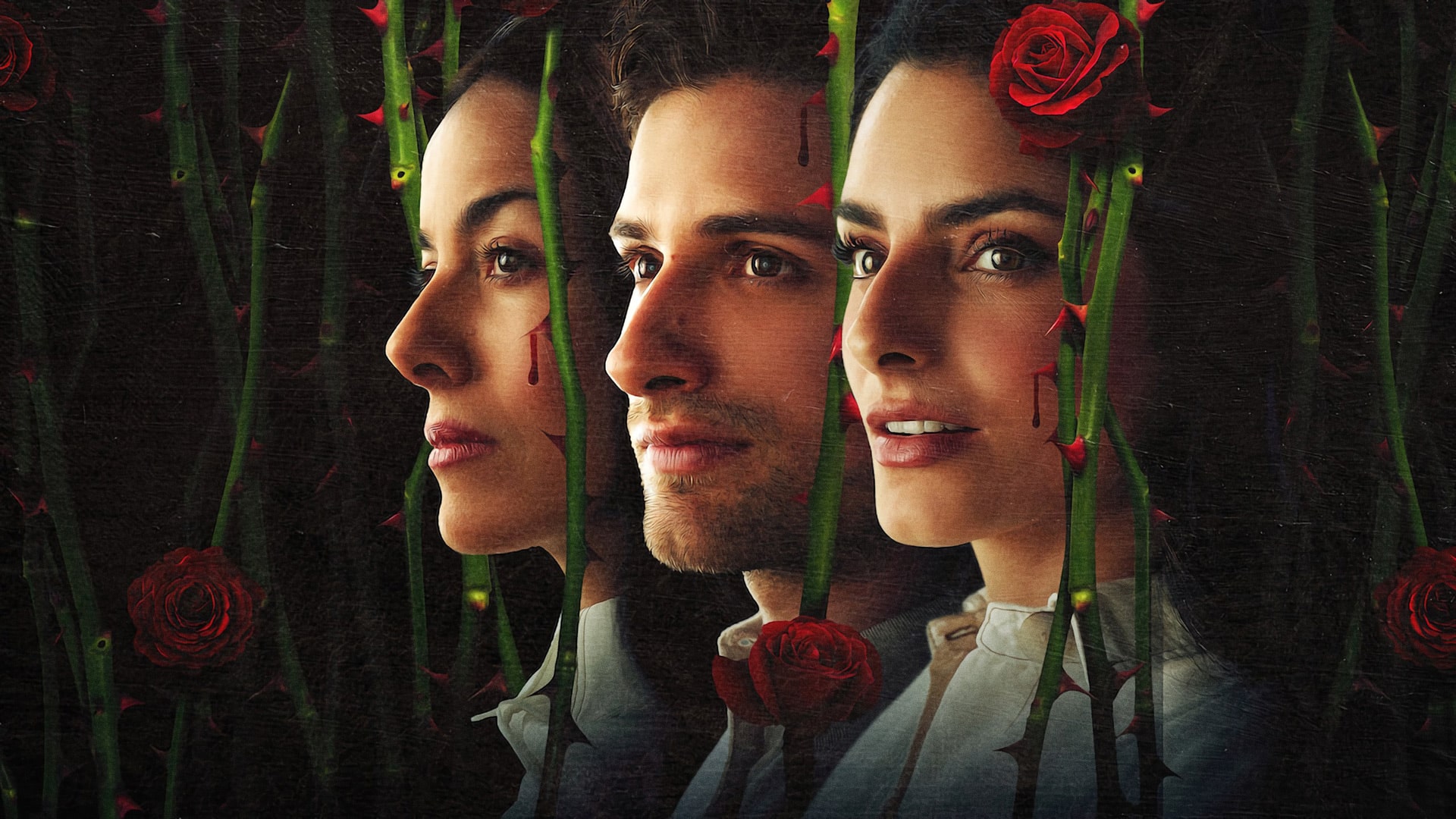 Season 3