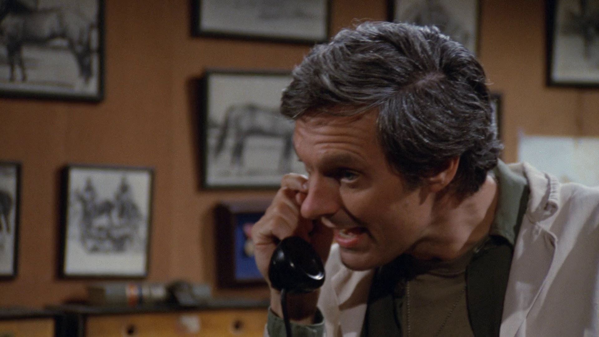 Season 7
