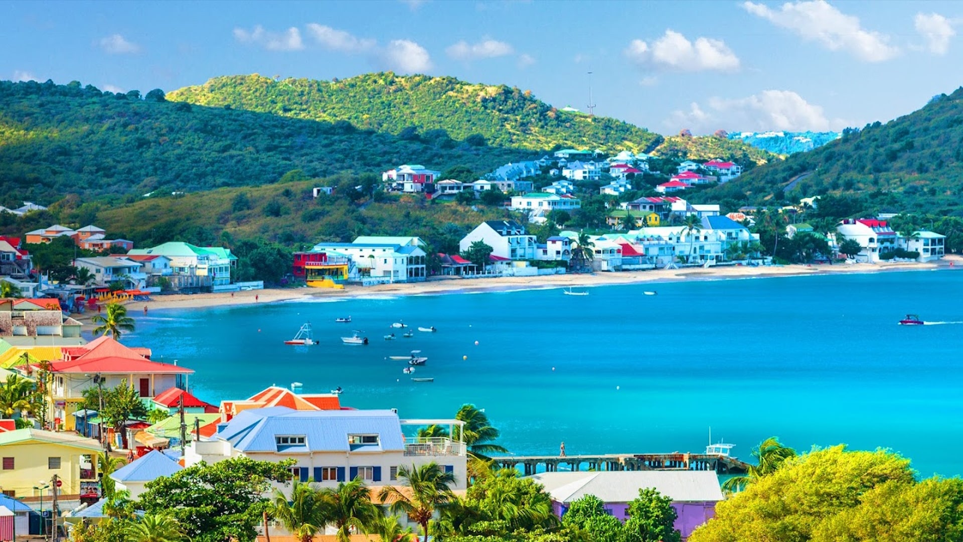 Season 8