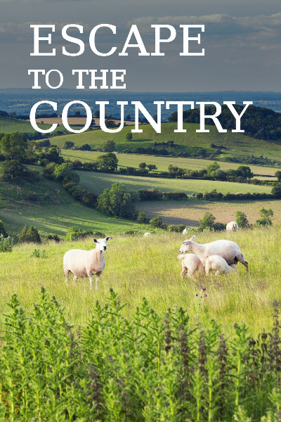 Escape to the Country - Season 26