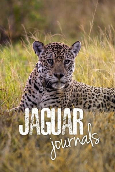 Jaguar Journals - Season 1