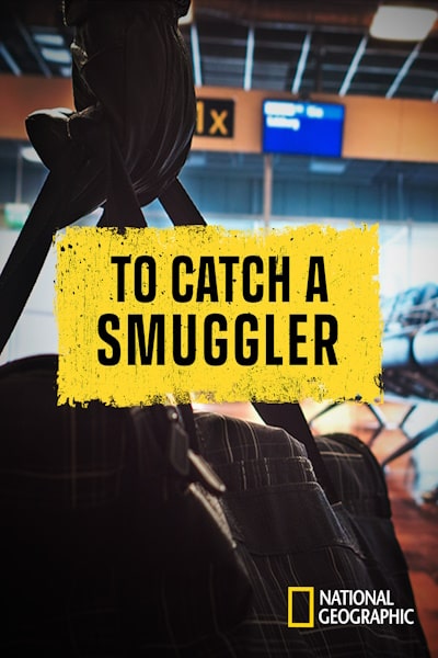 To Catch a Smuggler - Season 6