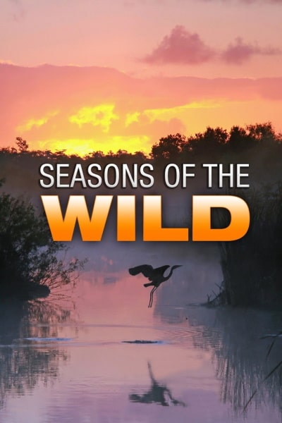 Seasons of the Wild - Season 1