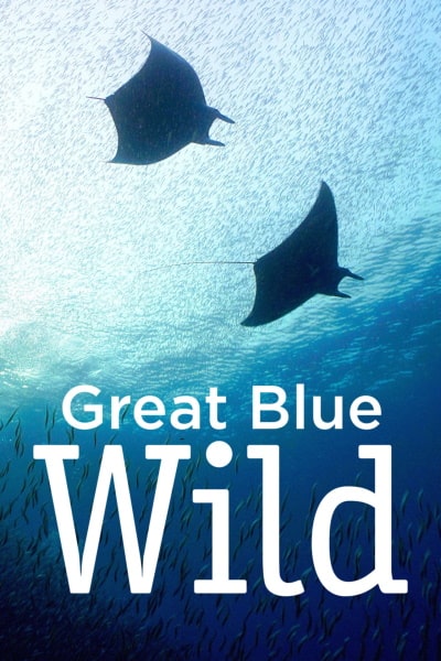 Great Blue Wild - Season 2