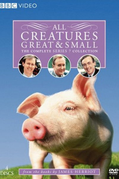All Creatures Great and Small - Season 7 (1978)