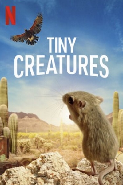 Tiny Creatures - Season 1