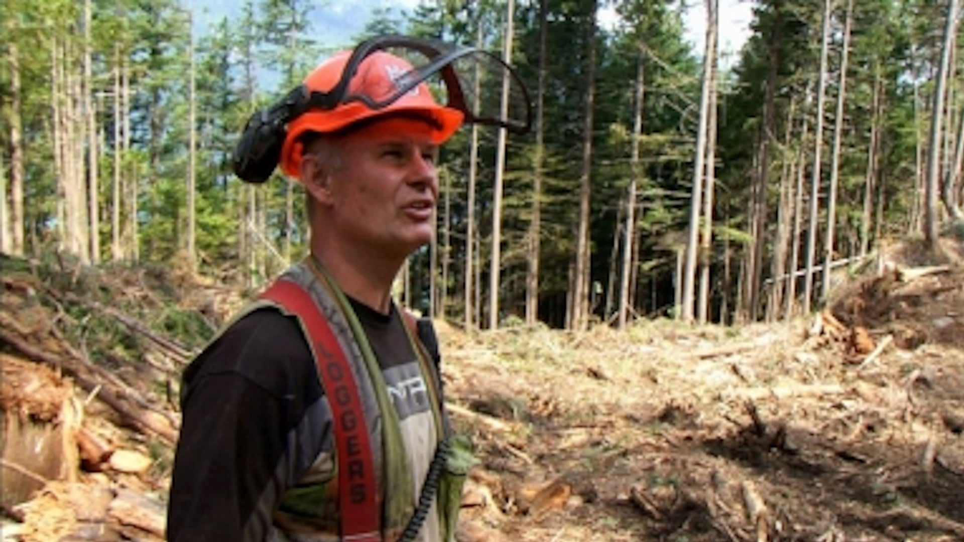 Season 8