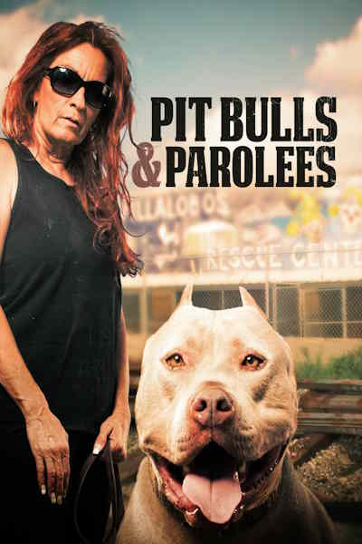 Pit Bulls and Parolees - Season 8