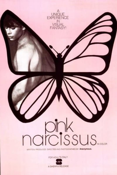 Pink Narcissus