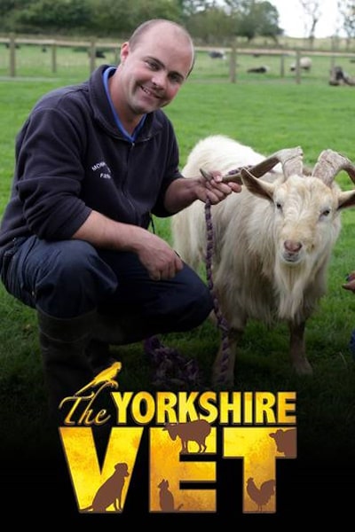 The Yorkshire Vet - Season 16