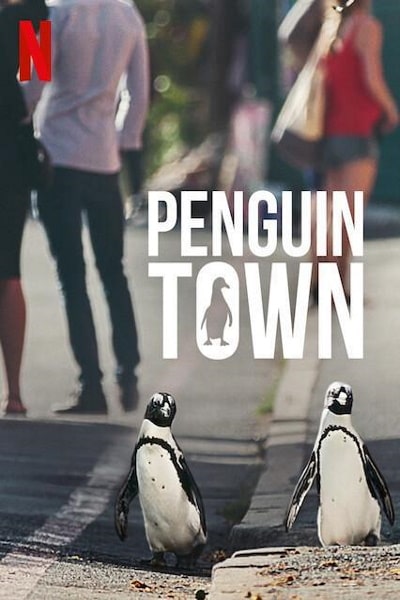 Penguin Town - Season 1 [Sub: Eng]