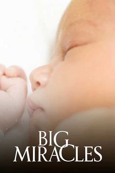 Big Miracles - Season 1